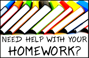 homework help seattle public library